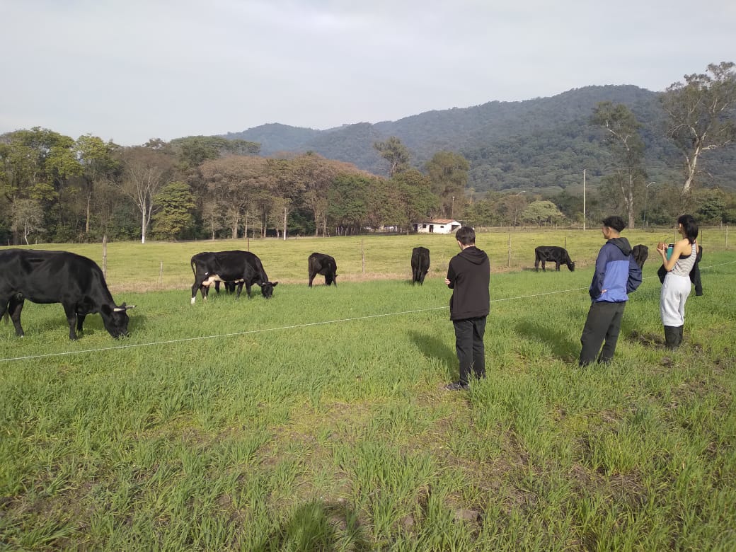 Prácticas en el Campo: Aprendizaje y Compromiso Ambiental